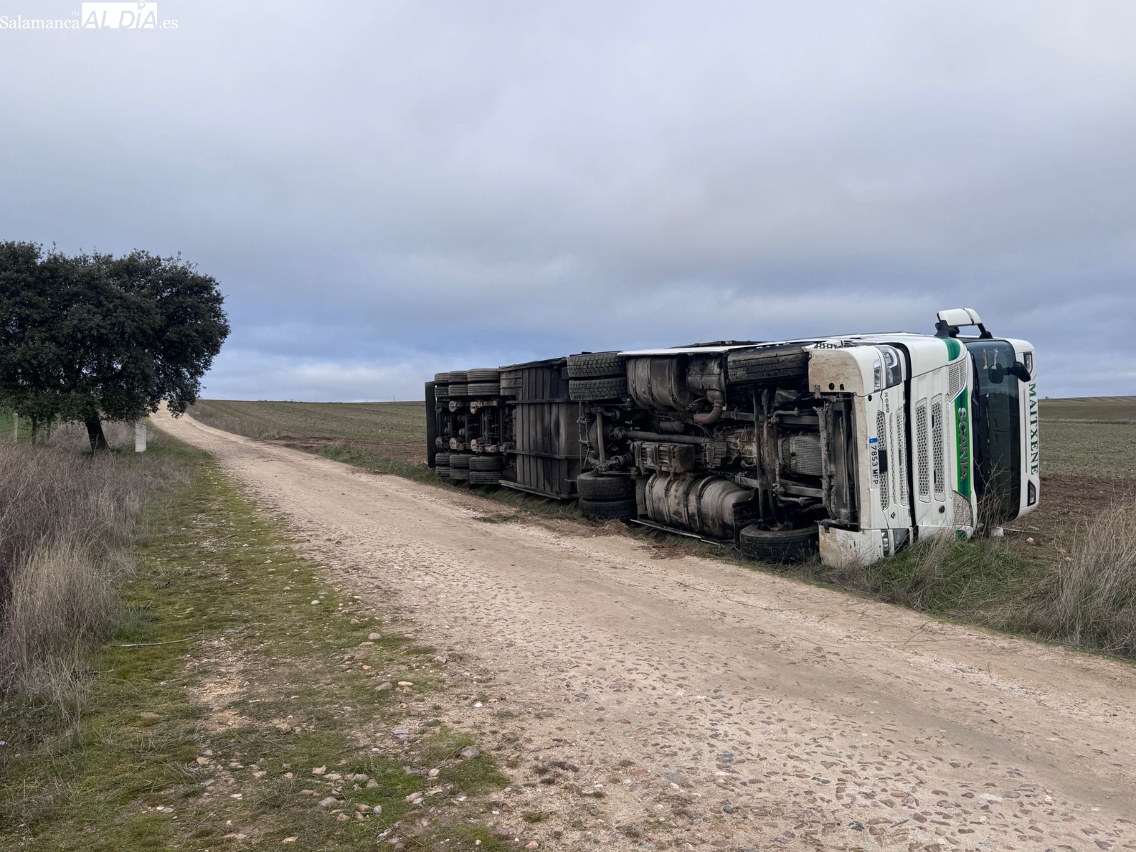Los bomberos excarcelan al conductor de un camión volcado en Alba de Tormes
