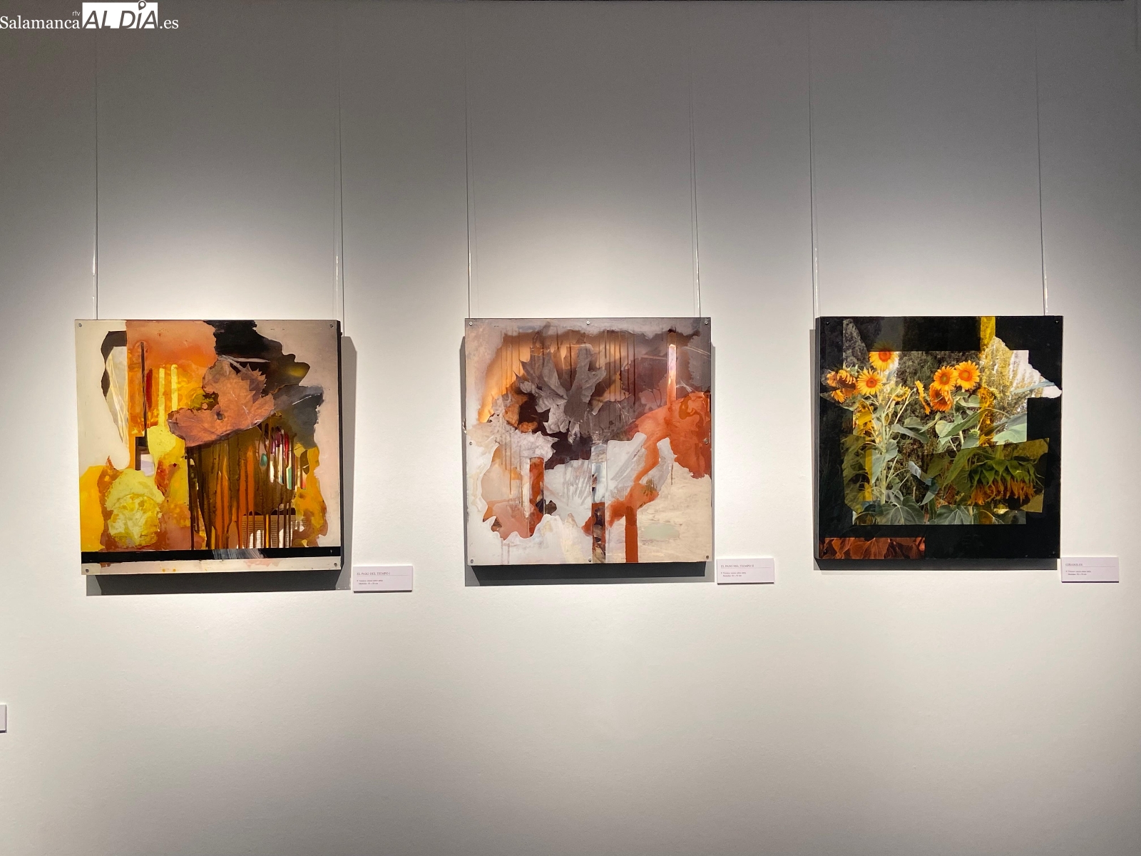 FOTO |Exposición de Marina Gómez en La Salina de Salamanca