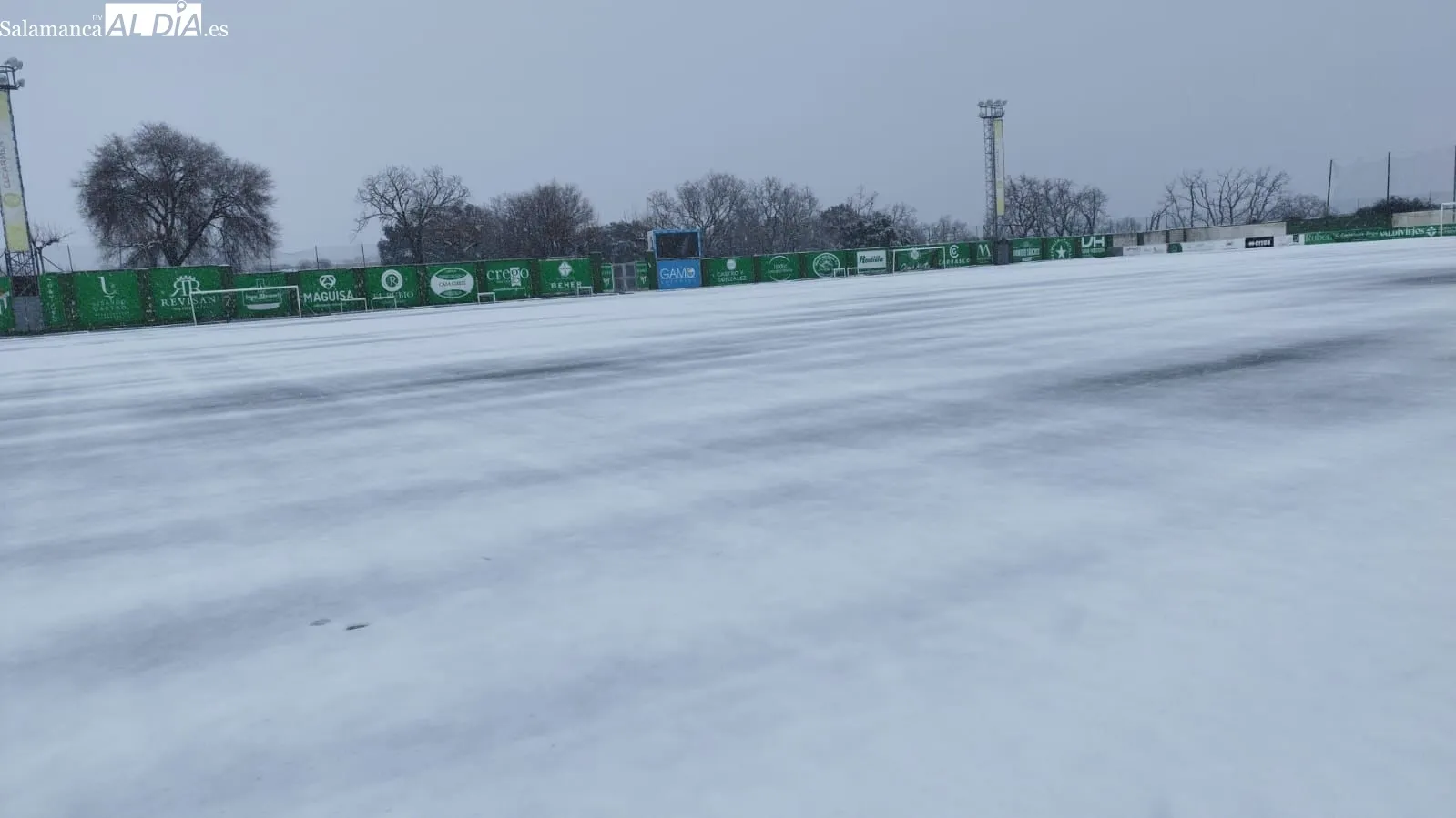 Los campos, nevados / SALAMANCArtv AL DÍA