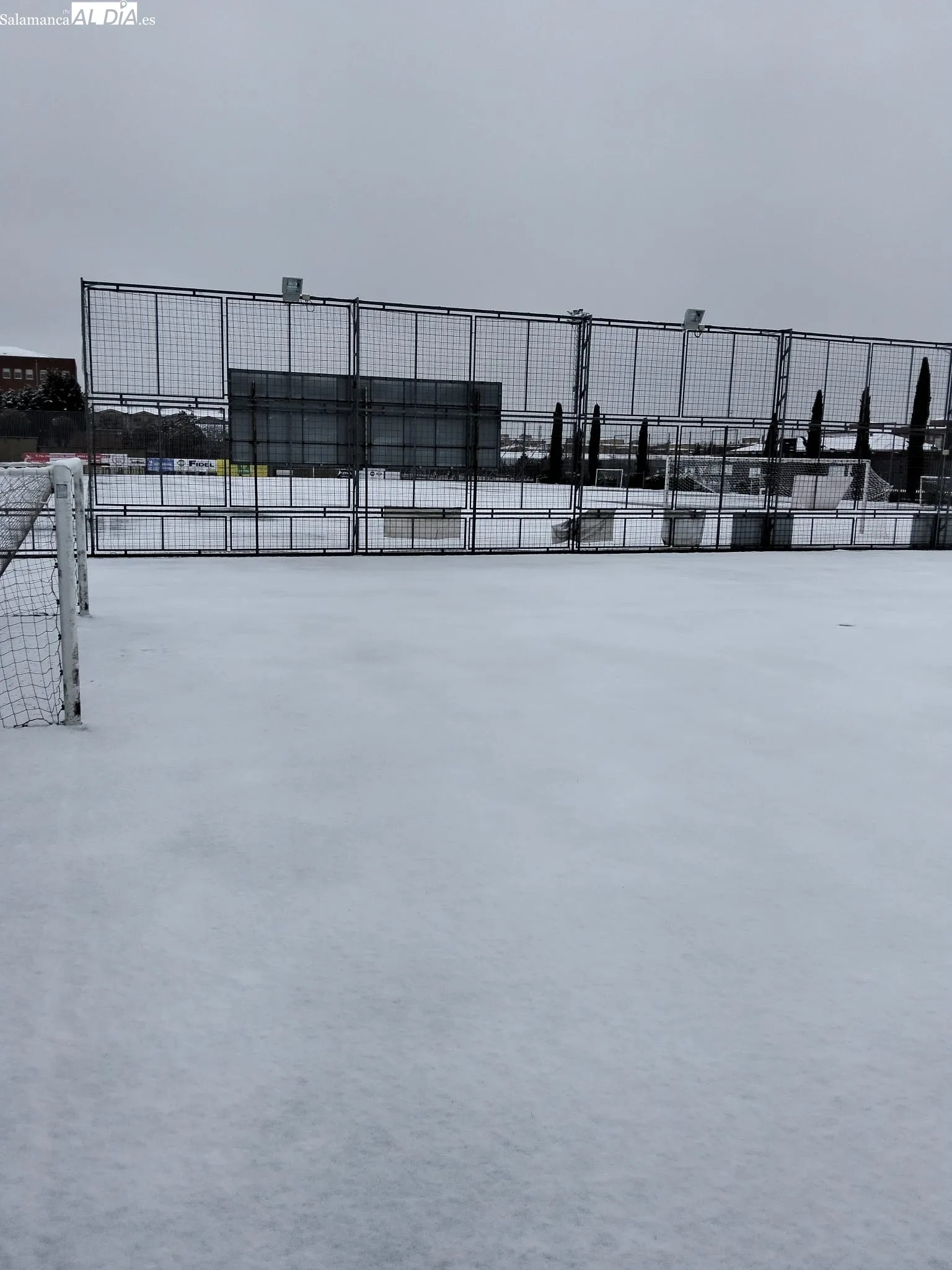 Los campos, nevados / SALAMANCArtv AL DÍA