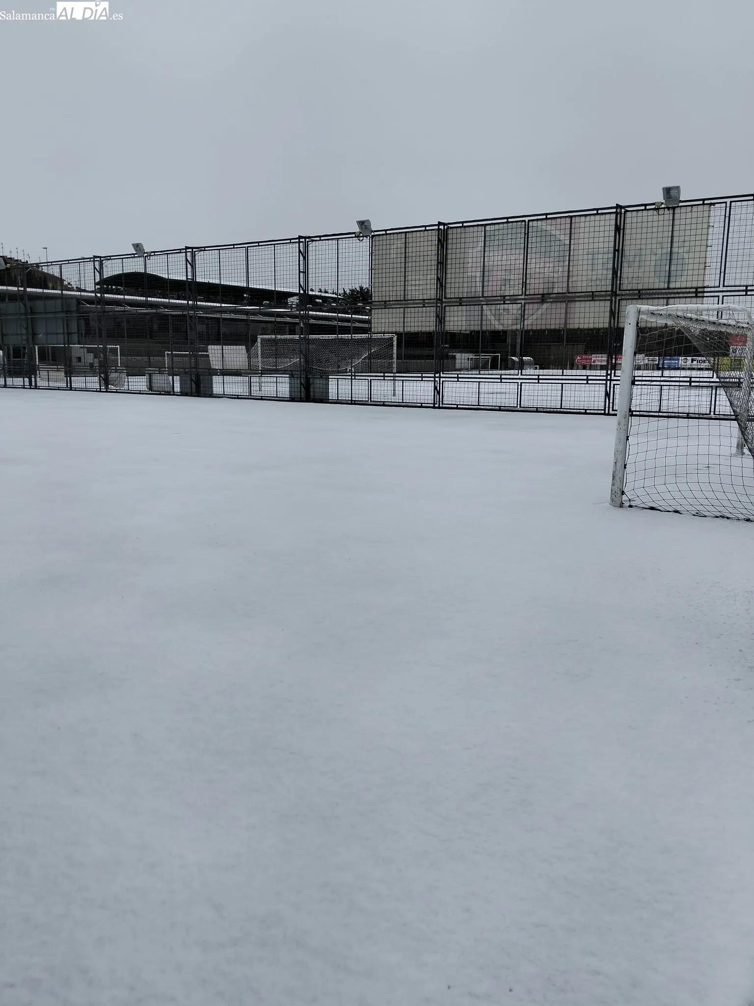 Los campos, nevados / SALAMANCArtv AL DÍA