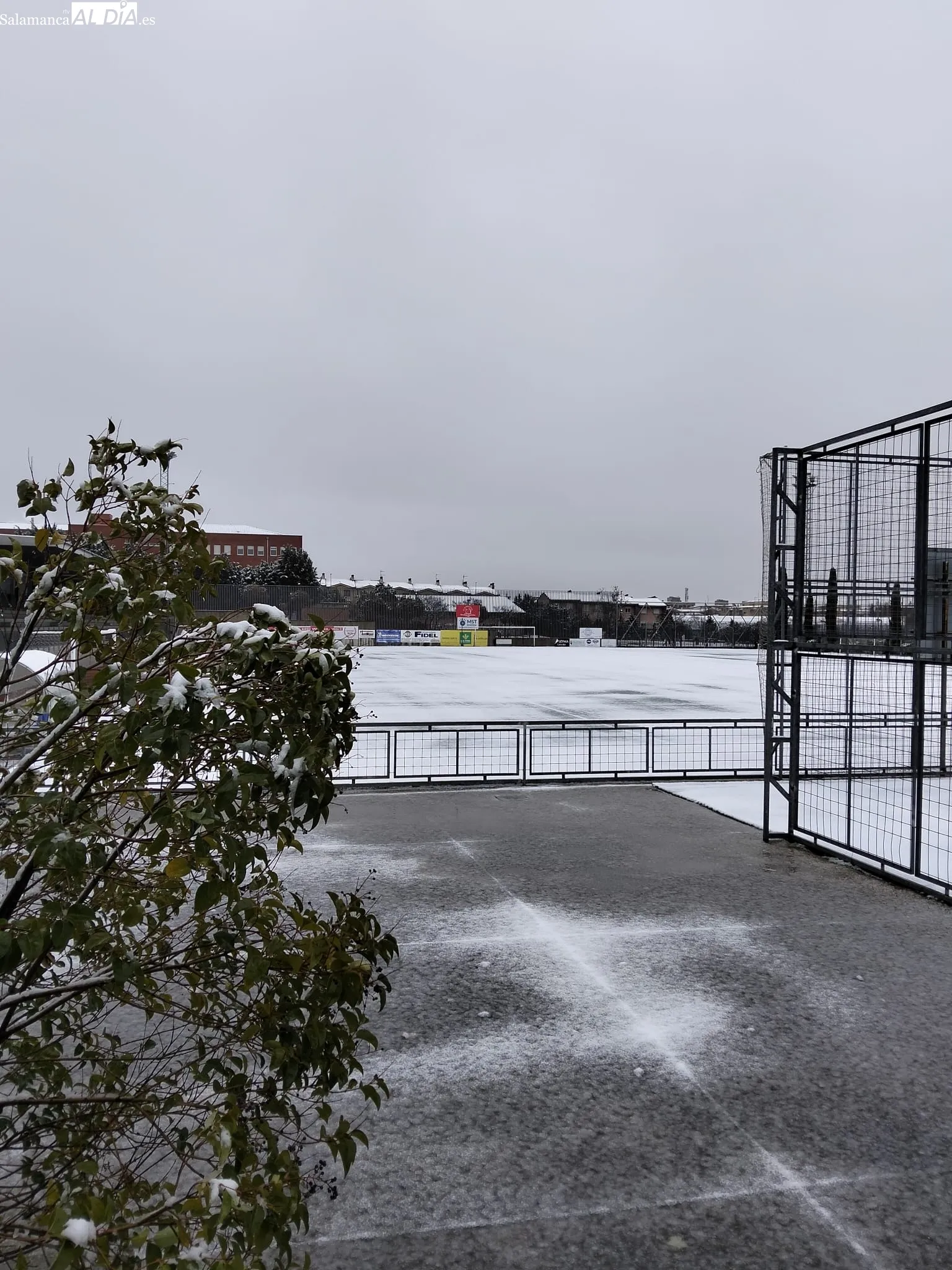 Los campos, nevados / SALAMANCArtv AL DÍA