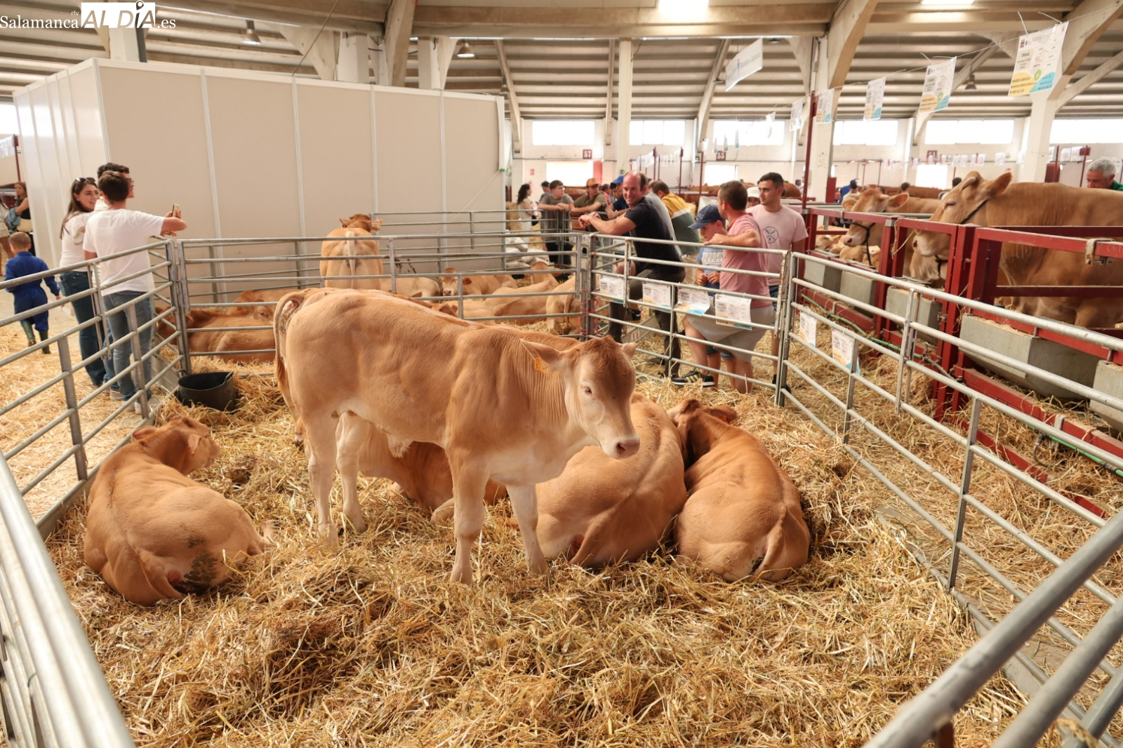 Salamaq 2026: fechas oficiales de la feria de Salamanca
