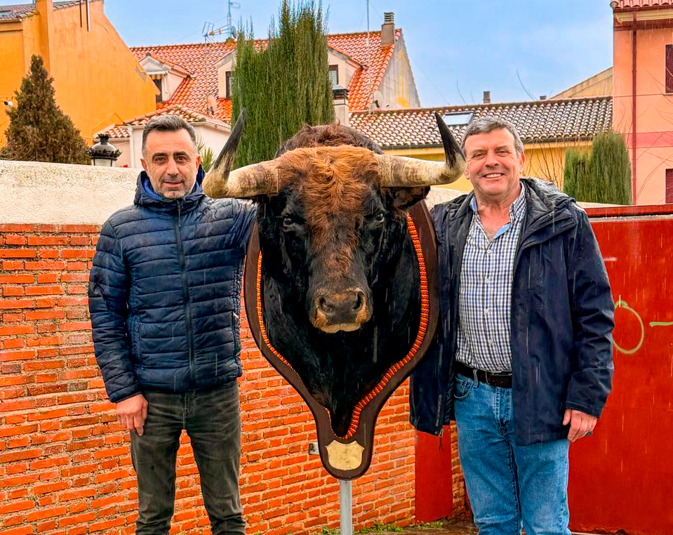 Carnavaldeltoro.es entrega la cabeza disecada del Toro del Antruejo 2025 a sus ganadores
