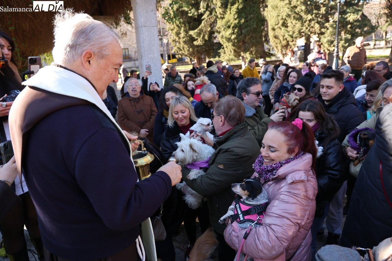 Bendición San Antón Salamanca 2026: horario y lugar