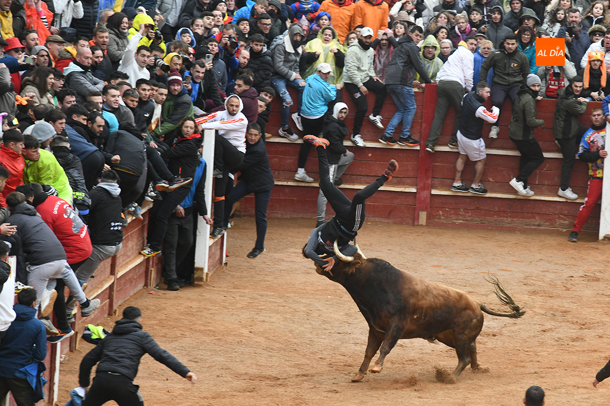 Adjudicado el seguro del Carnaval del Toro 2026