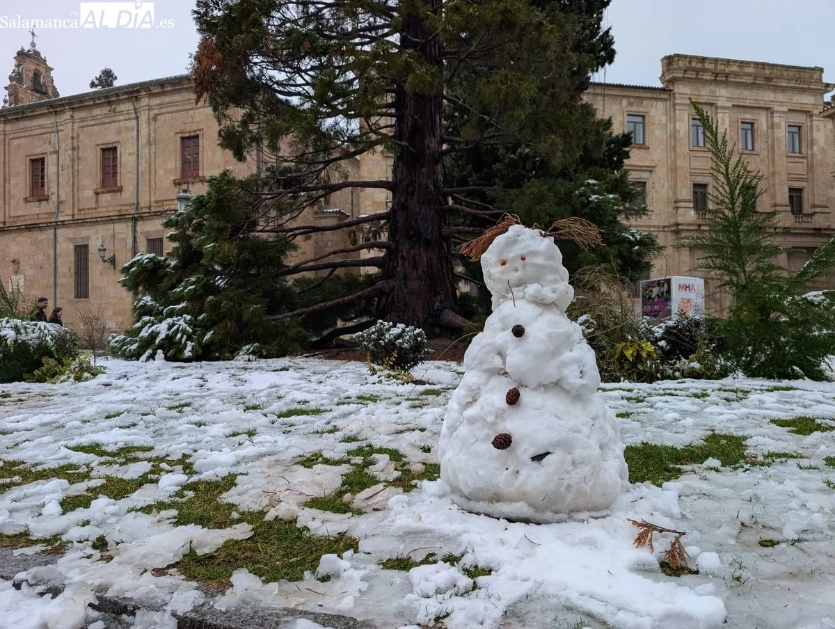 Originales muñecos de nieve en la plaza de Anaya. Foto de David Sañudo