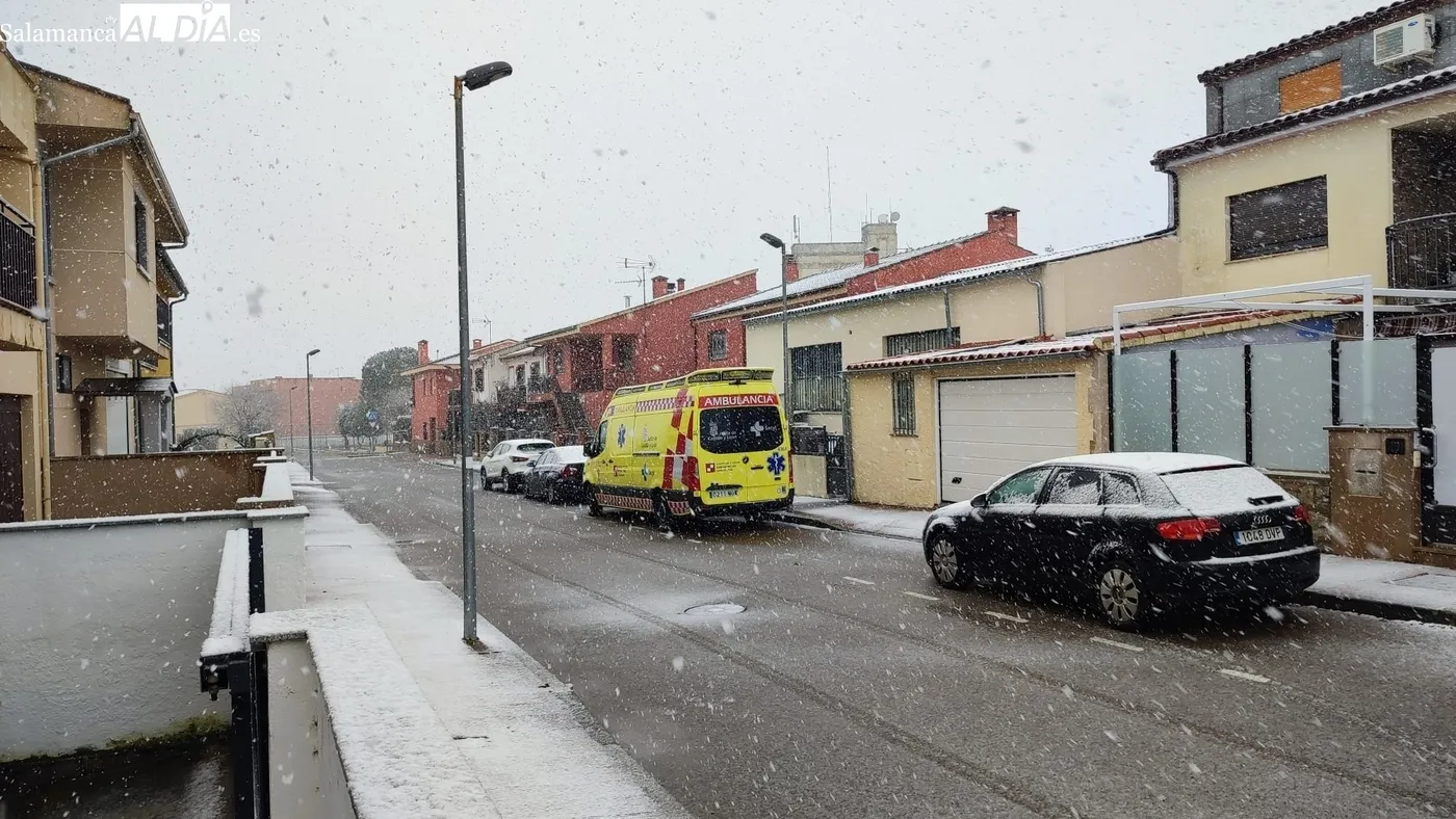Nevada en Vitigudino / CORRAL