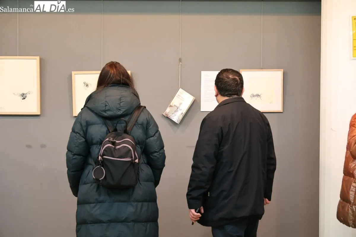 Exposición 'Criaturas de agua y luz', de Sonia García, en la Biblioteca Torrente Ballester. Foto: David Sañudo