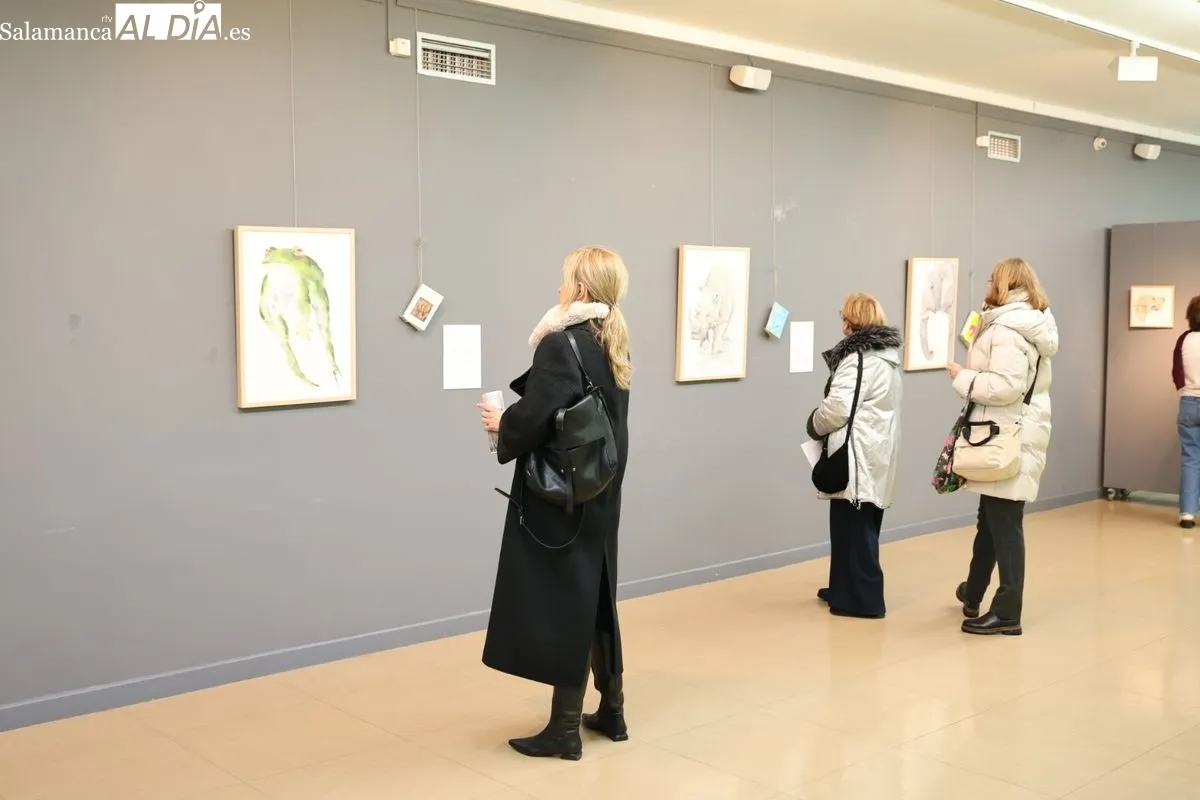 Exposición 'Criaturas de agua y luz', de Sonia García, en la Biblioteca Torrente Ballester. Foto: David Sañudo