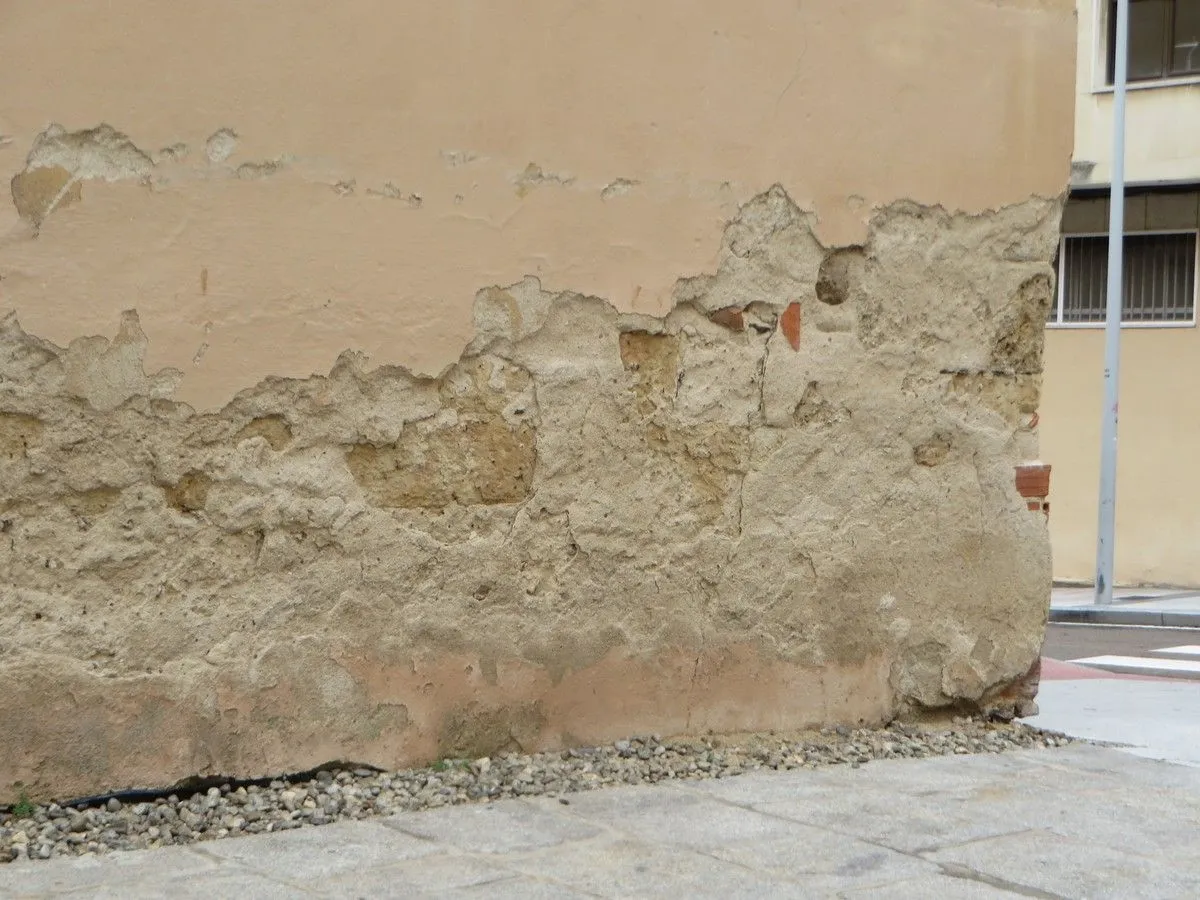 La asociación Ciudadanos por la Defensa del Patrimonio alerta del deterioro del Convento de las Claras. Fotos ACDP