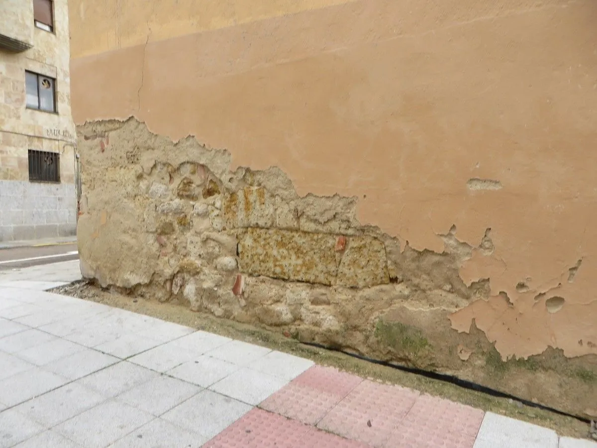 La asociación Ciudadanos por la Defensa del Patrimonio alerta del deterioro del Convento de las Claras. Fotos ACDP