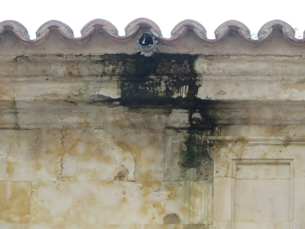La asociación Ciudadanos por la Defensa del Patrimonio alerta del deterioro del Convento de las Claras. Fotos ACDP