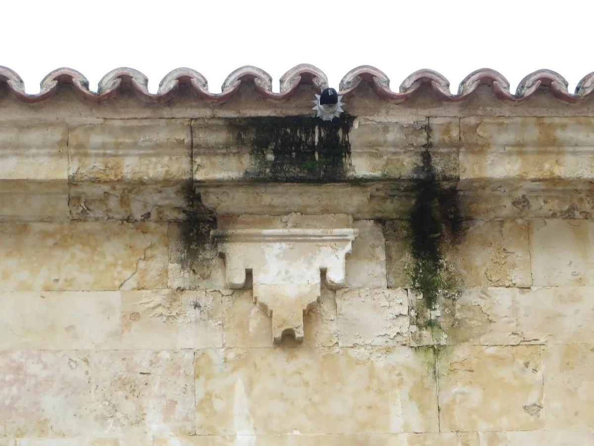La asociación Ciudadanos por la Defensa del Patrimonio alerta del deterioro del Convento de las Claras. Fotos ACDP