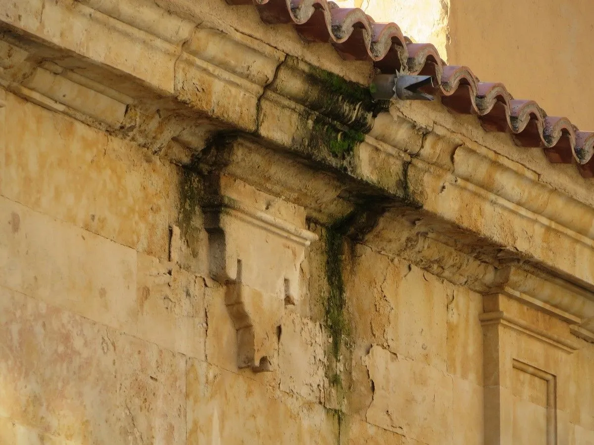 La asociación Ciudadanos por la Defensa del Patrimonio alerta del deterioro del Convento de las Claras. Fotos ACDP