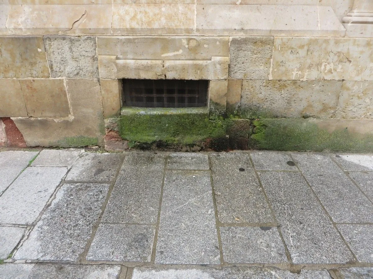 La asociación Ciudadanos por la Defensa del Patrimonio alerta del deterioro del Convento de las Claras. Fotos ACDP