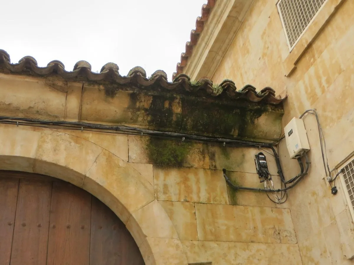 La asociación Ciudadanos por la Defensa del Patrimonio alerta del deterioro del Convento de las Claras. Fotos ACDP