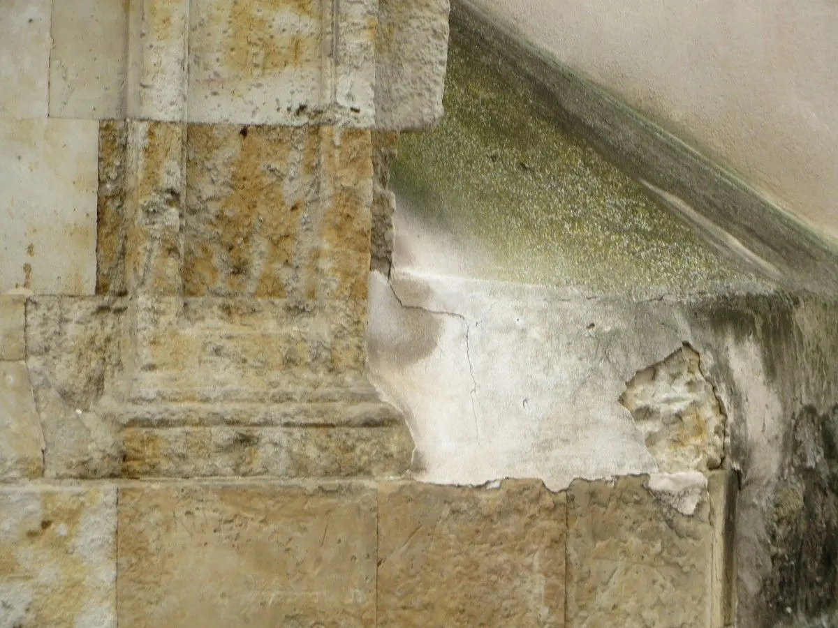 La asociación Ciudadanos por la Defensa del Patrimonio alerta del deterioro del Convento de las Claras. Fotos ACDP