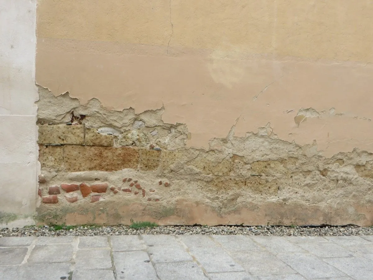 La asociación Ciudadanos por la Defensa del Patrimonio alerta del deterioro del Convento de las Claras. Fotos ACDP