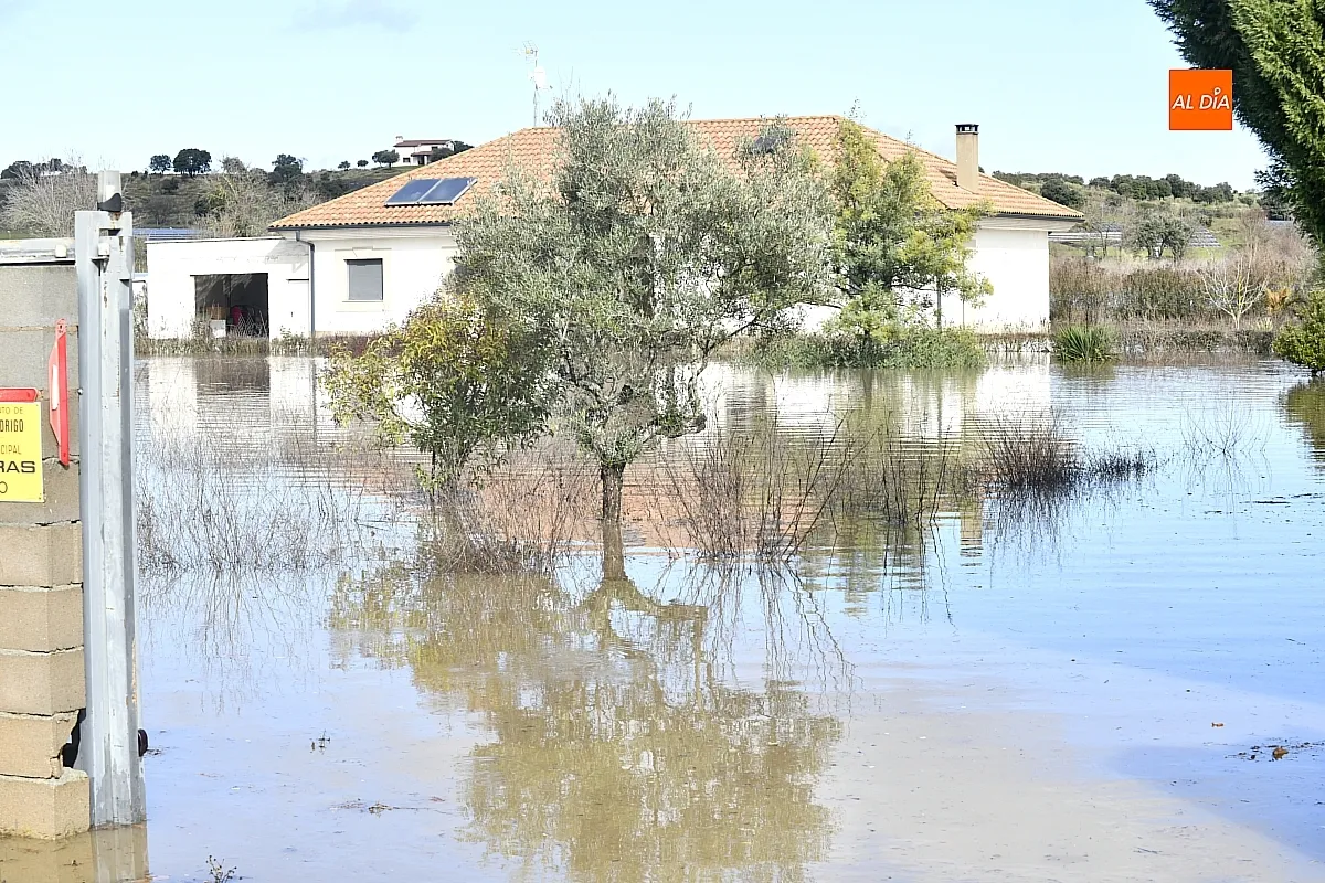 Inundaciones en el extrarradio de Ciudad Rodrigo. Fotos: Adrián Martín