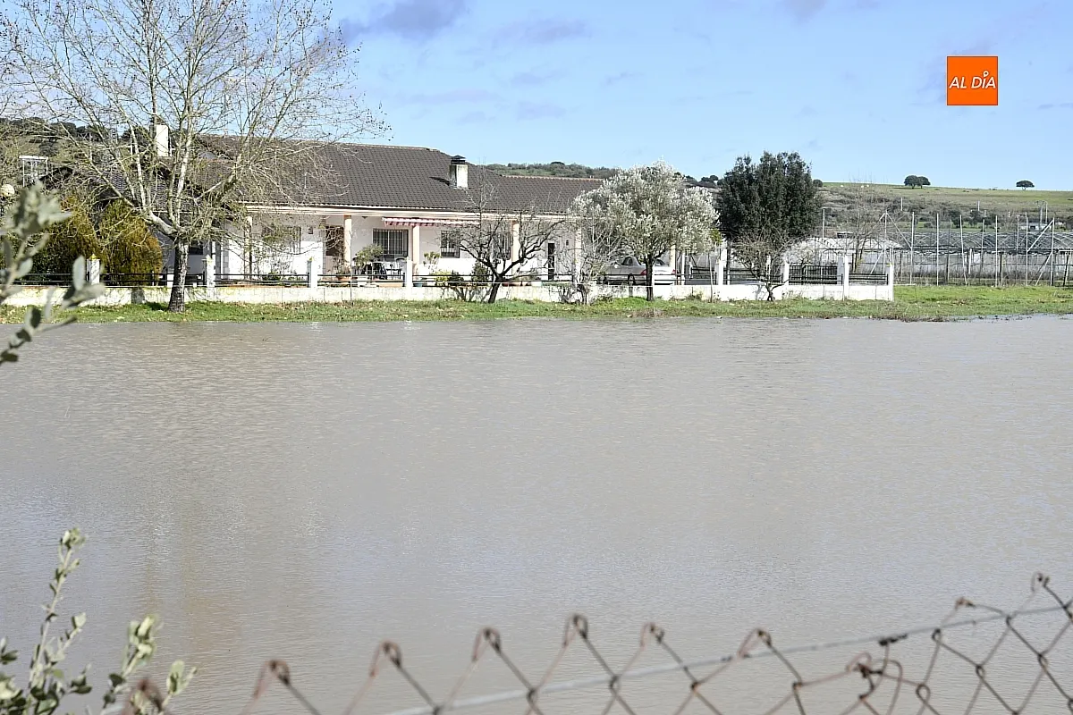 Inundaciones en el extrarradio de Ciudad Rodrigo. Fotos: Adrián Martín