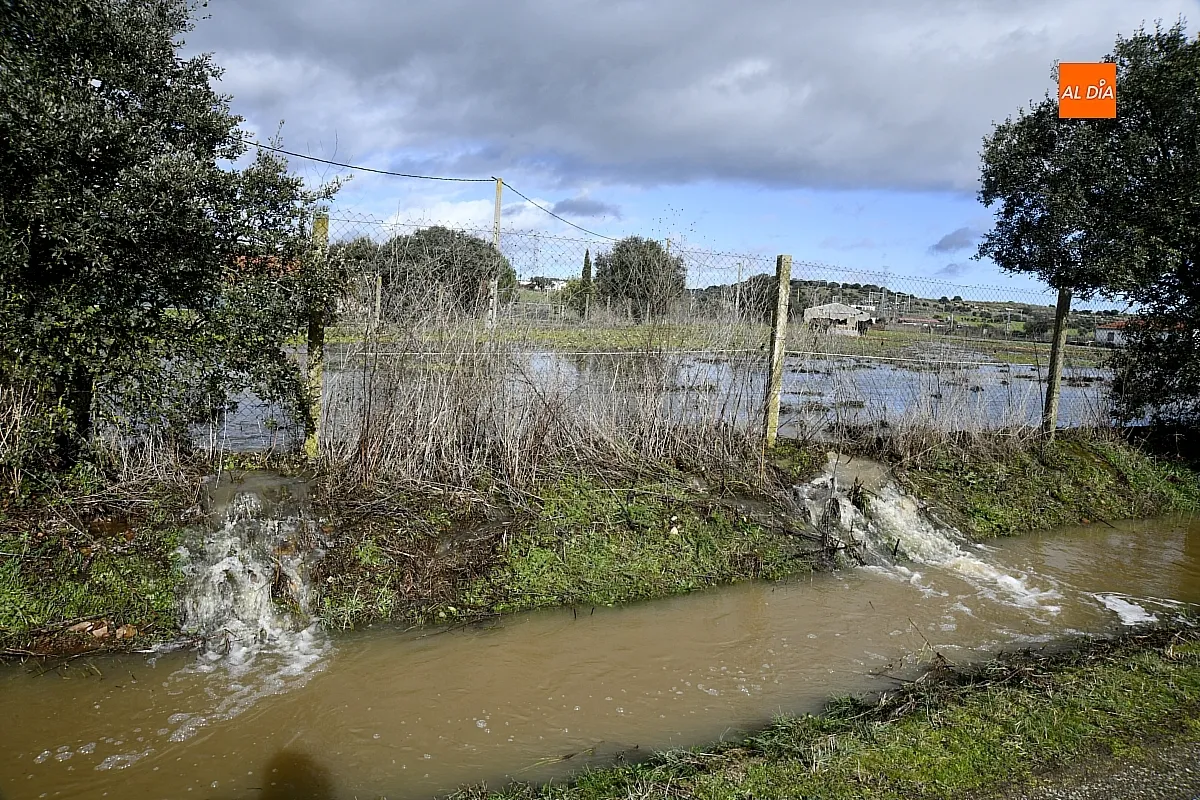 Inundaciones en el extrarradio de Ciudad Rodrigo. Fotos: Adrián Martín