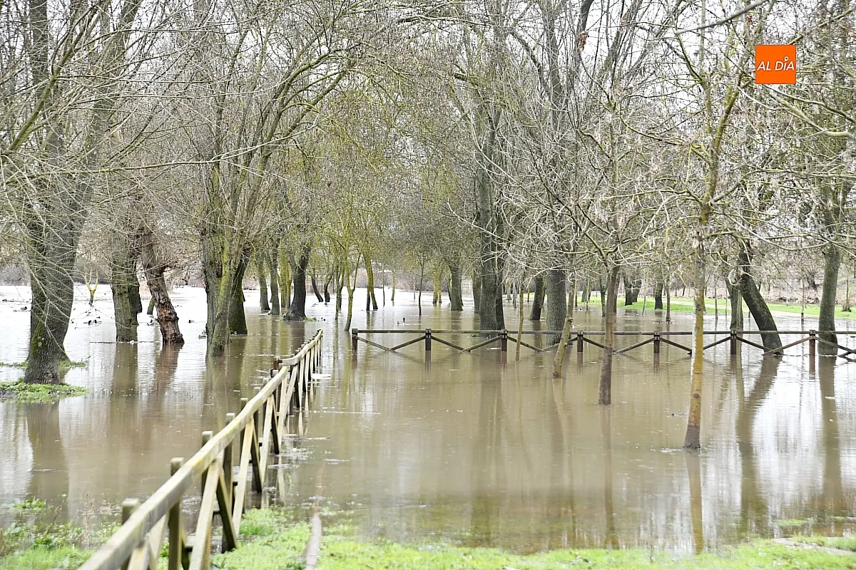 Las presas de Irueña y Águeda mantienen “a raya” su río al paso por Miróbriga