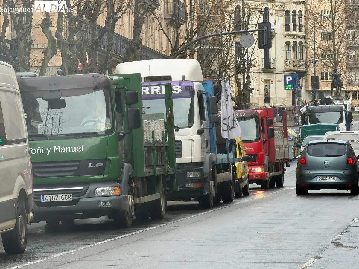 Manifestación de apicultores en la Gran Vía de Salamanca, frente a la Subdelegación del Gobierno. Foto de Vanesa Martins