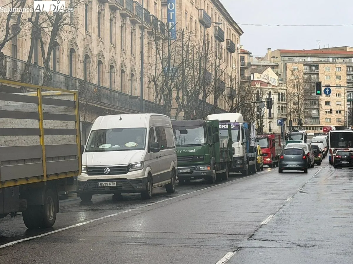 Manifestación de apicultores en la Gran Vía de Salamanca, frente a la Subdelegación del Gobierno. Foto de Vanesa Martins