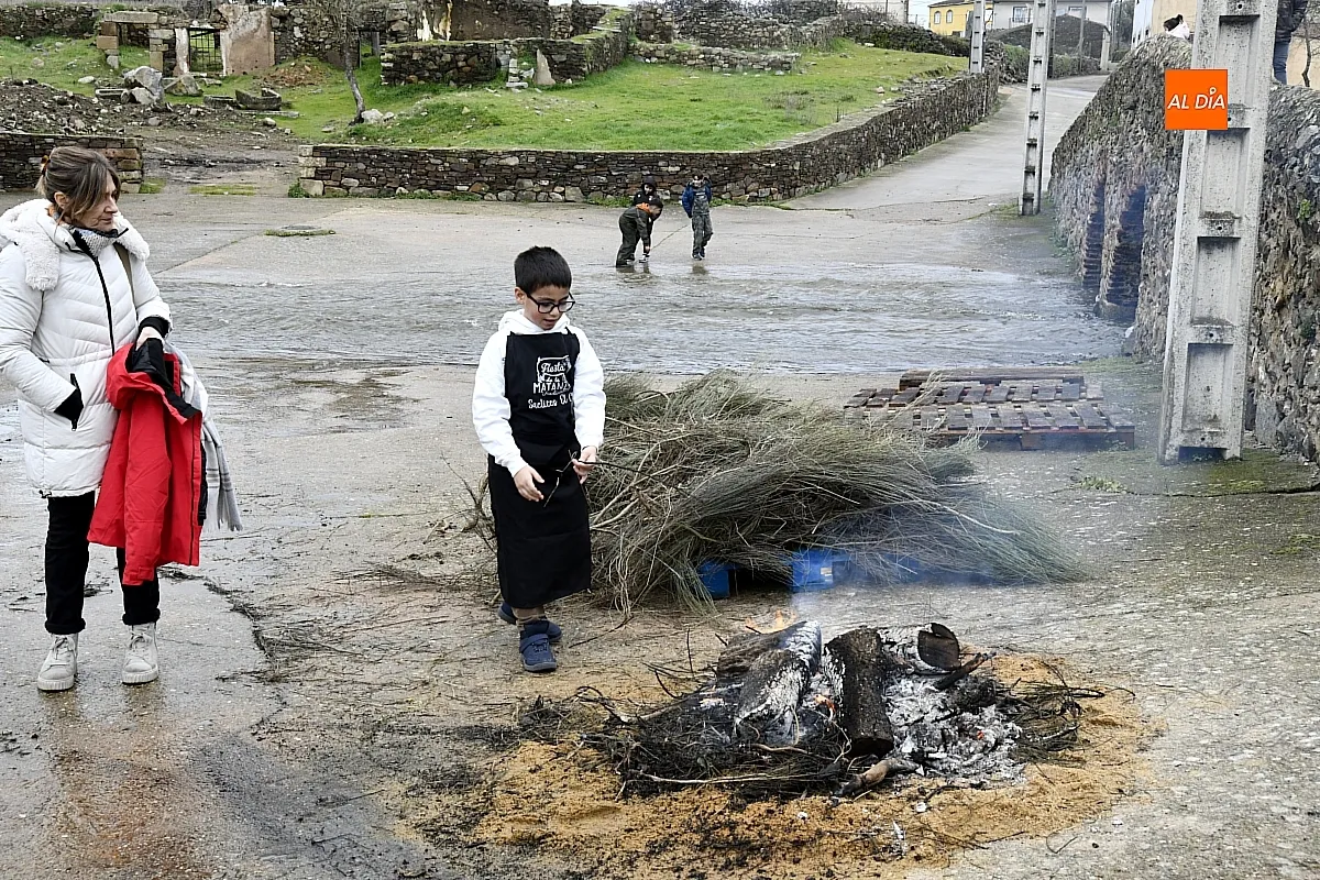 Momento de la Matanza Típica en Saelices el Chico