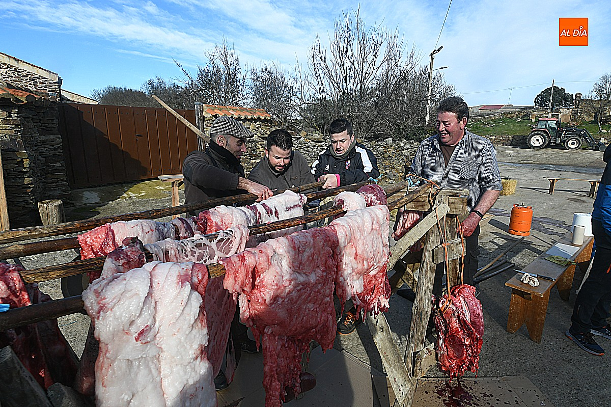 Fiesta de la Matanza 2026 en Saelices el Chico: programa