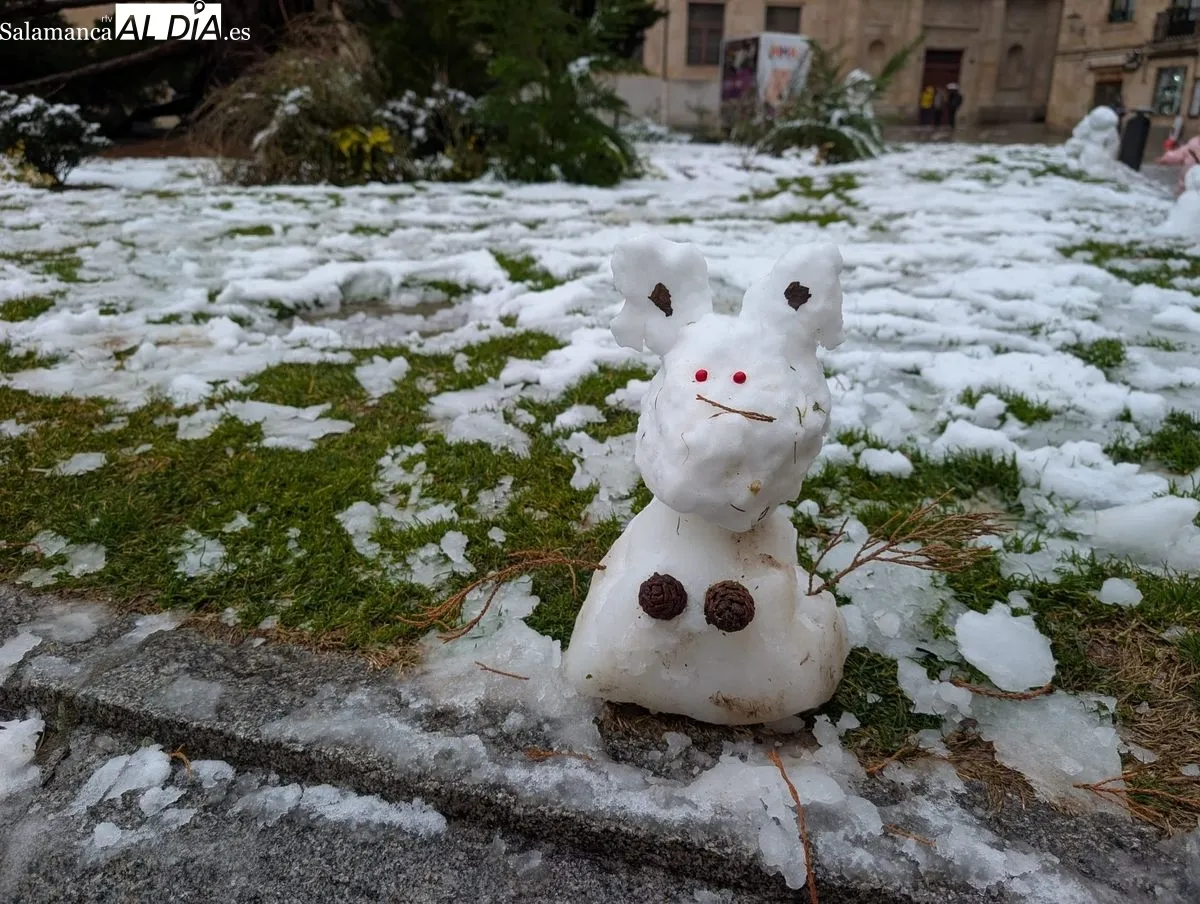 Originales muñecos de nieve en la plaza de Anaya. Foto de David Sañudo