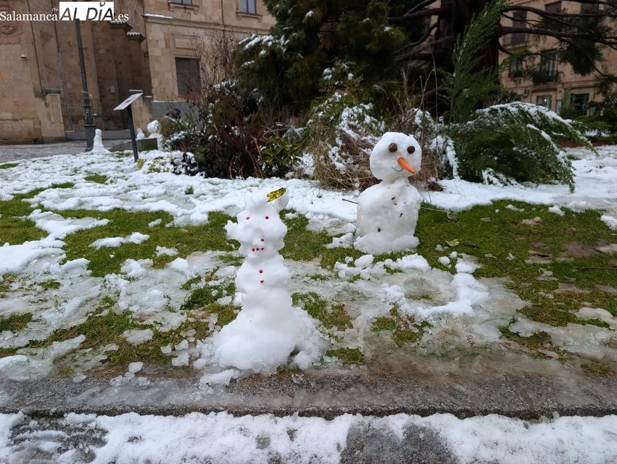 Originales muñecos de nieve en la plaza de Anaya. Foto de David Sañudo