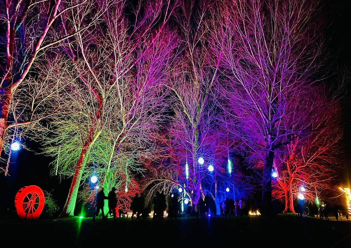 Navidad Santa Marta: récord con más de 250.000 visitas