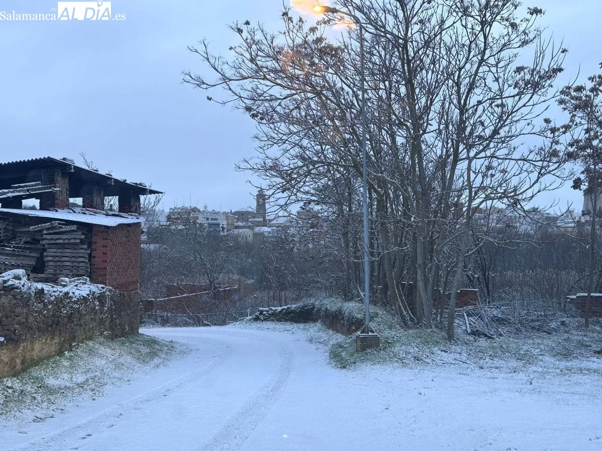 Un manto blanco para despedir la Navidad: la nieve transforma el paisaje de Alba de Tormes