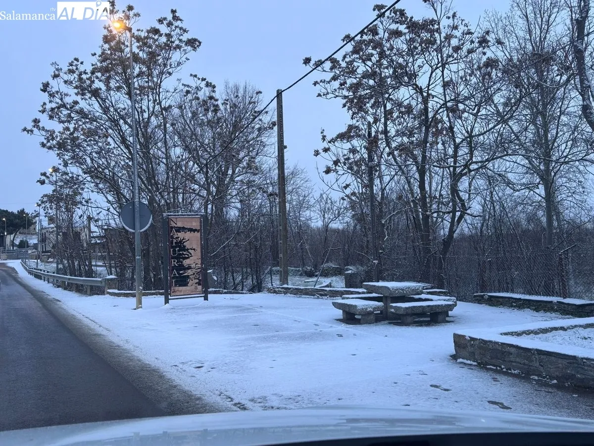 Un manto blanco para despedir la Navidad: la nieve transforma el paisaje de Alba de Tormes