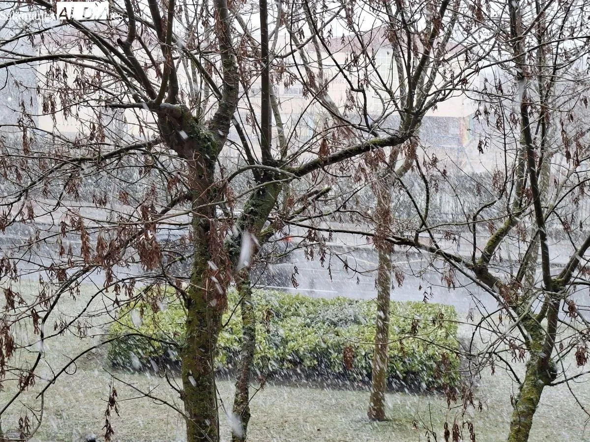 Primeros copos de nieve en la capital salmantina esta tarde de viernes. Foto: R.M.G.