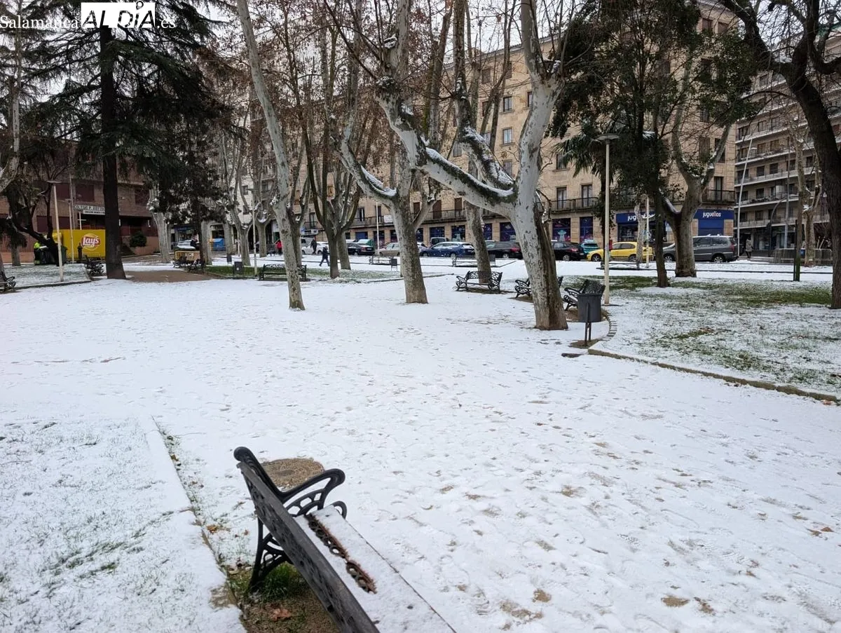 Parque de la Alamedilla nevado. Foto de David Sañudo