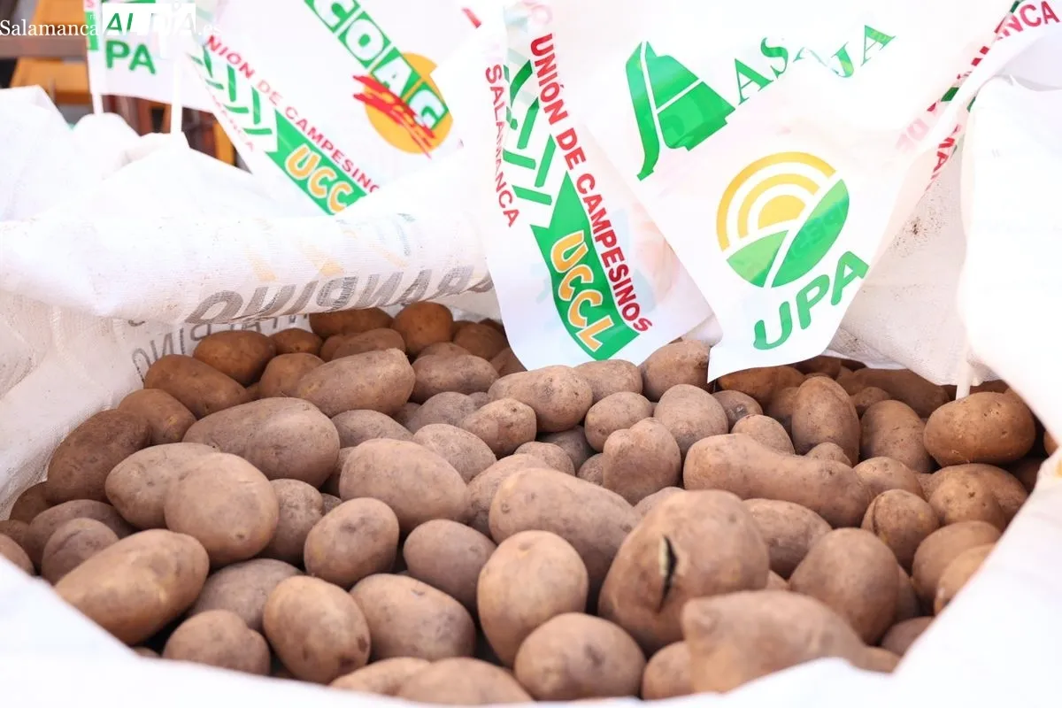 Reparto de patatas gratis en el centro de Salamanca para reivindicar la defensa de los productos locales. Foto de David Sañudo
