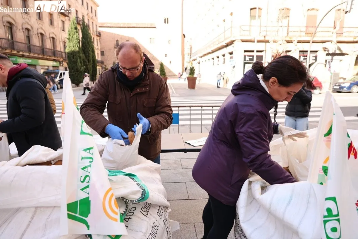 Reparto de patatas gratis en el centro de Salamanca para reivindicar la defensa de los productos locales. Foto de David Sañudo