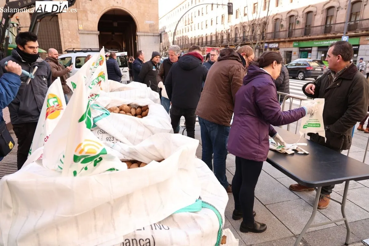 Reparto de patatas gratis en el centro de Salamanca para reivindicar la defensa de los productos locales. Foto de David Sañudo