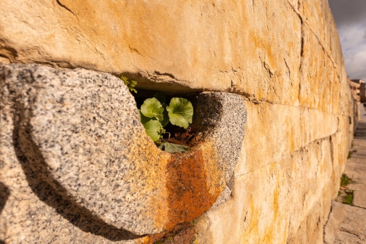 Muralla de Salamanca en el paseo de San Gregorio