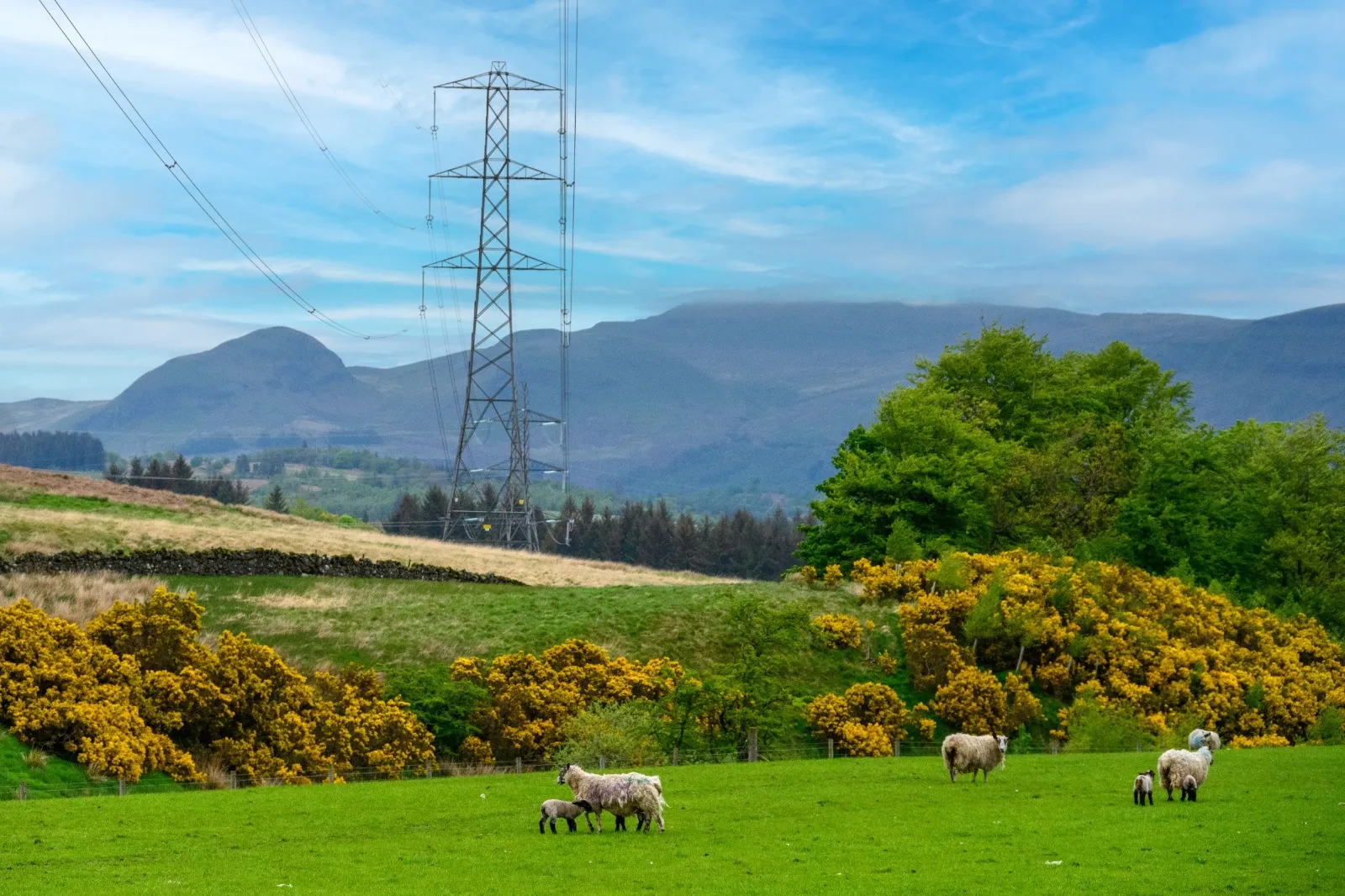 Iberdrola alcanza un récord de 255.976 GWh de energía distribuida en 2025