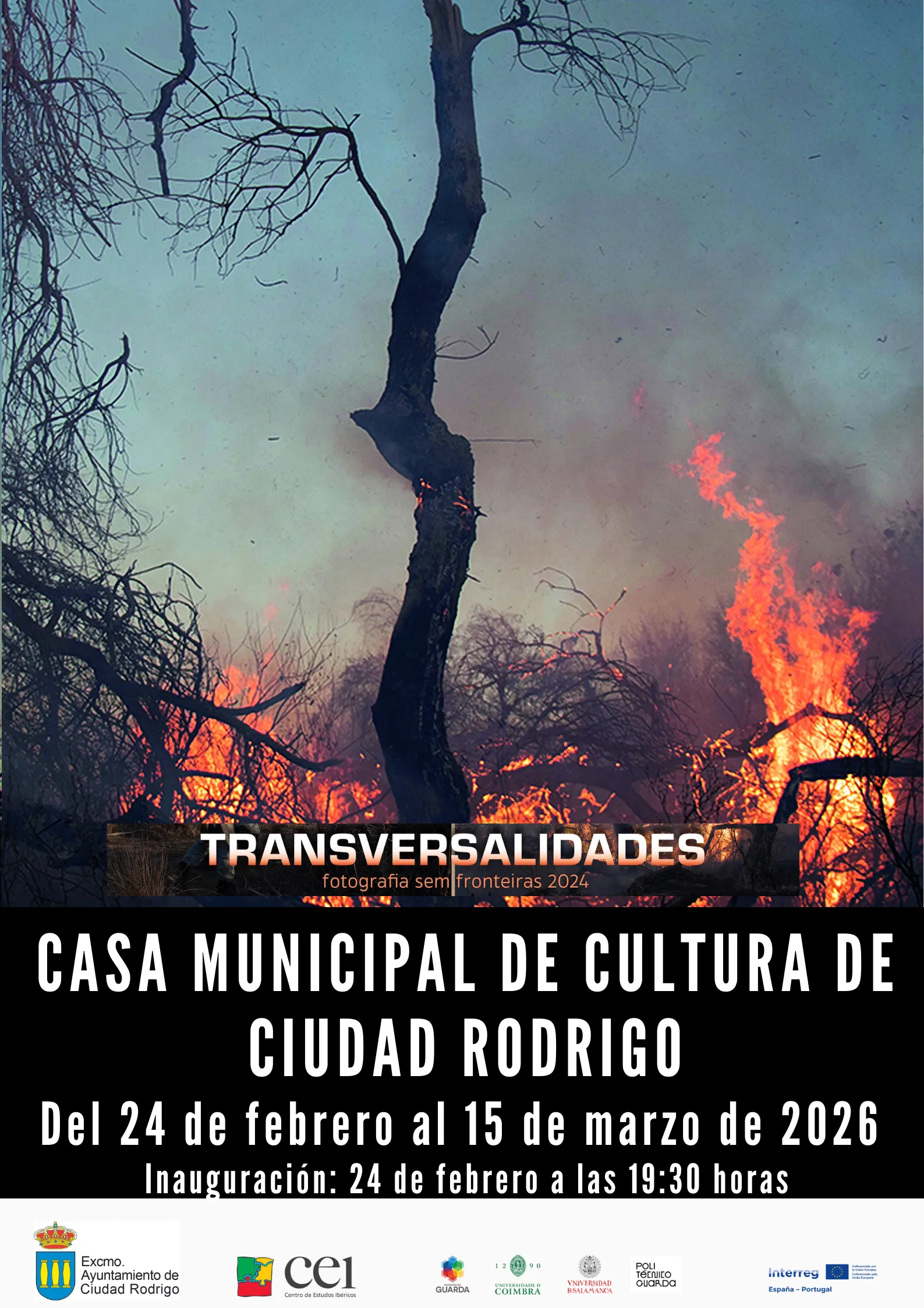 Foto 2 - La Casa de la Cultura acoge por segunda vez la exposici&oacute;n &lsquo;Transversalidades: Fotograf&iacute;a sin fronteras 2024&rsquo;