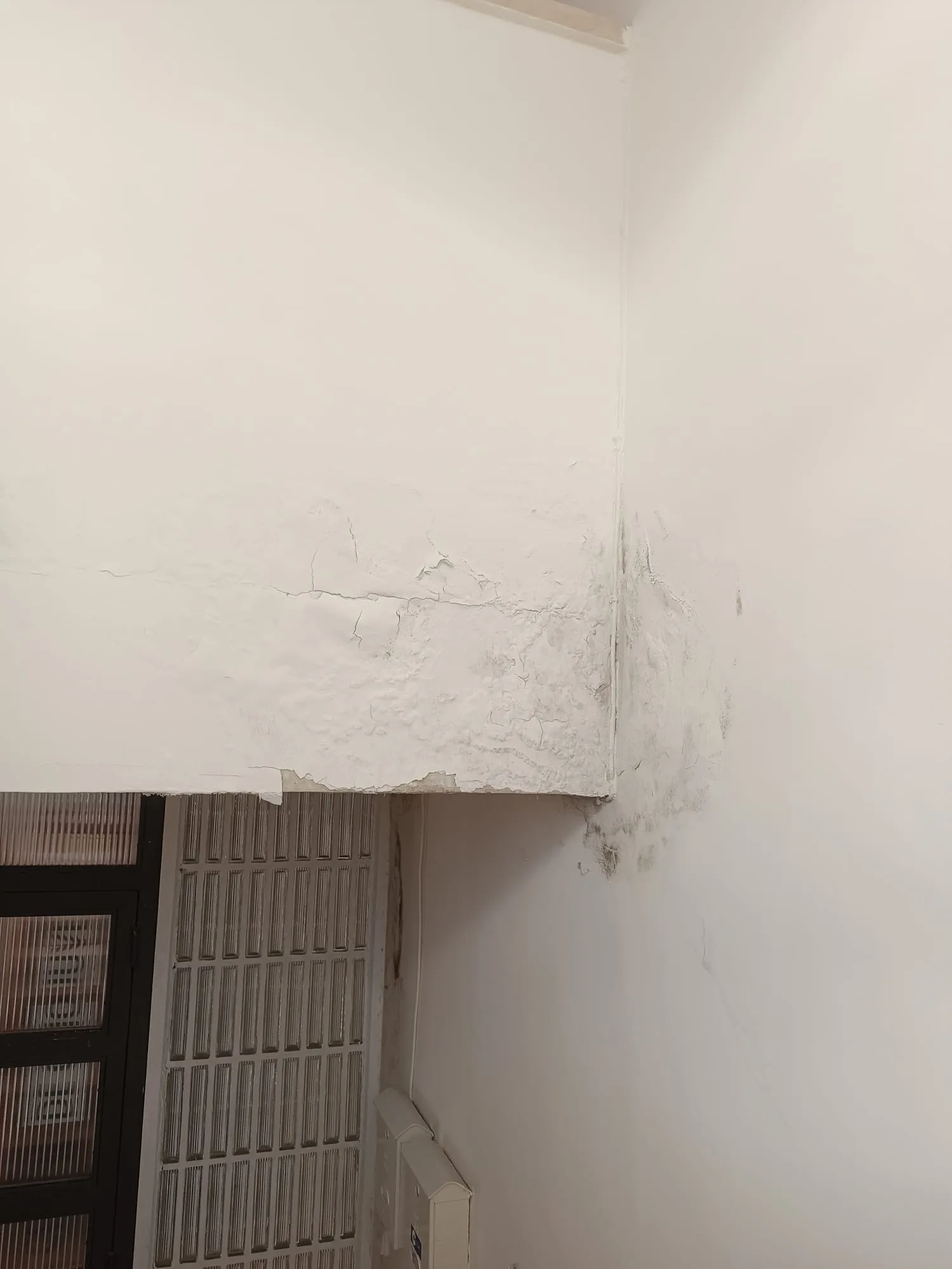 Foto 2 - Pe&ntilde;aranda en Com&uacute;n denuncia la mala situaci&oacute;n que mantienen las dependencias ubicadas dentro del Mercarural