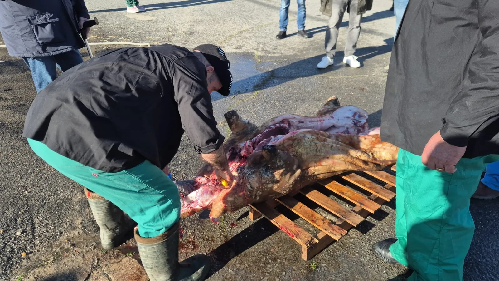 Foto 10 - Tradici&oacute;n y hermandad en la XIV Matanza Popular de Villar de Gallimazo
