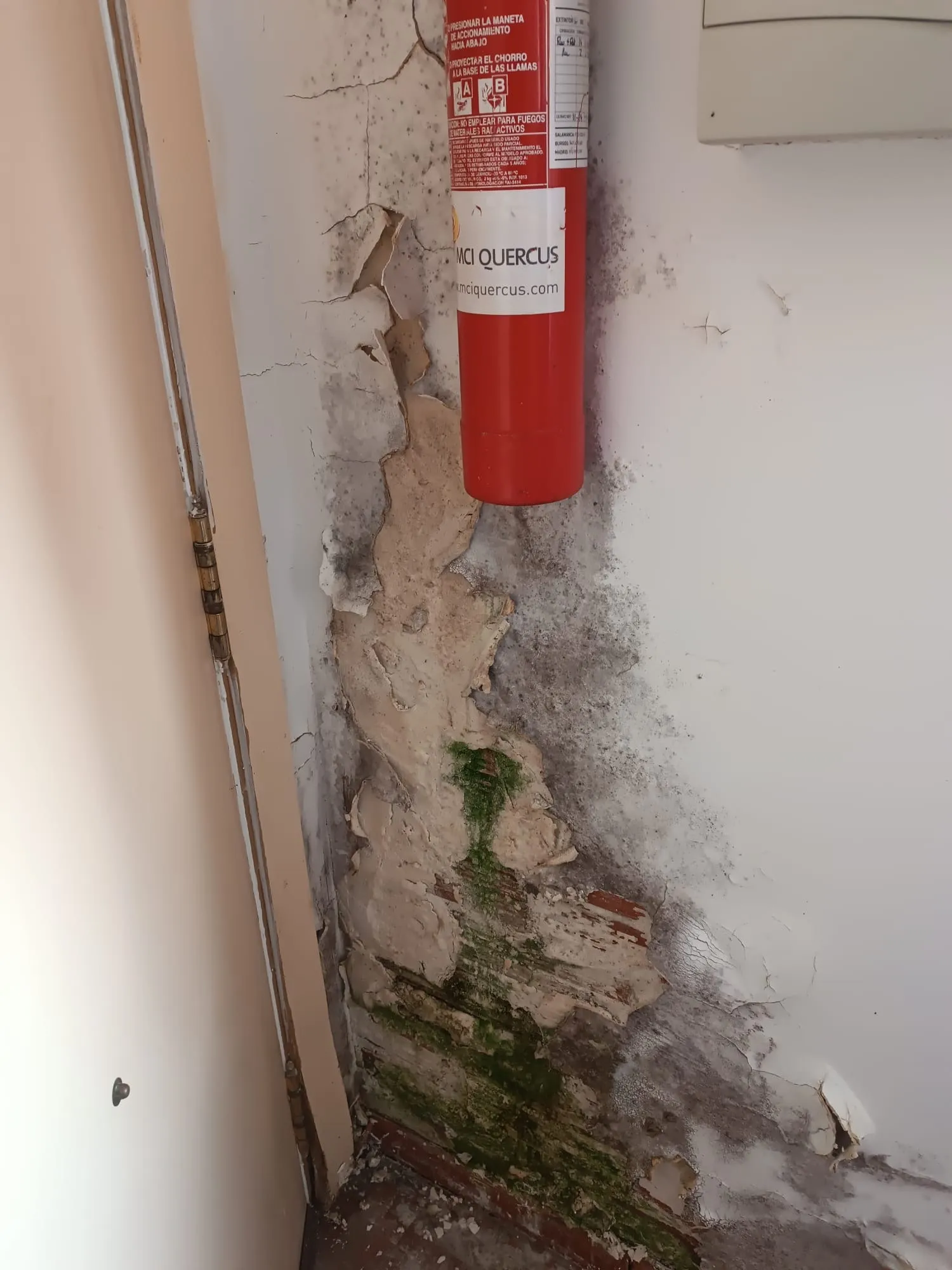 Foto 4 - Pe&ntilde;aranda en Com&uacute;n denuncia la mala situaci&oacute;n que mantienen las dependencias ubicadas dentro del Mercarural