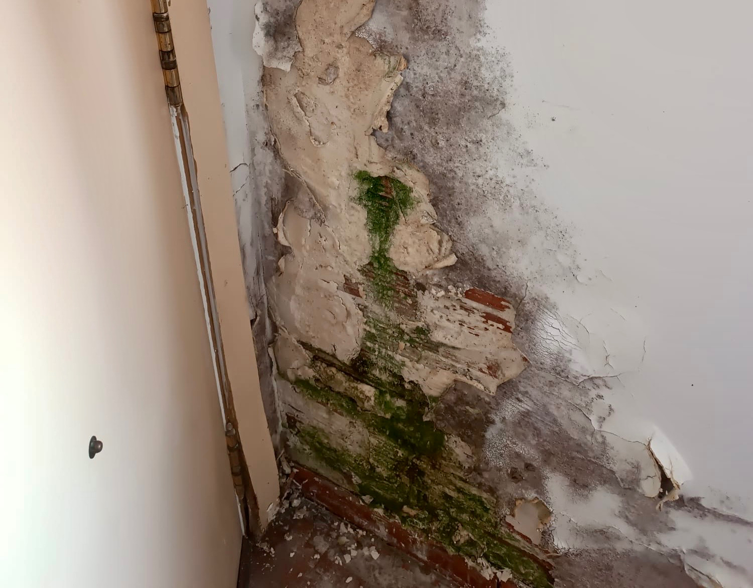 Peñaranda en Común denuncia la mala situación que mantienen las dependencias ubicadas dentro del Mercarural