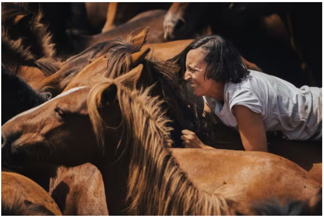 Charla sobre mascaradas y Rapa das Bestas en Rona Dalba