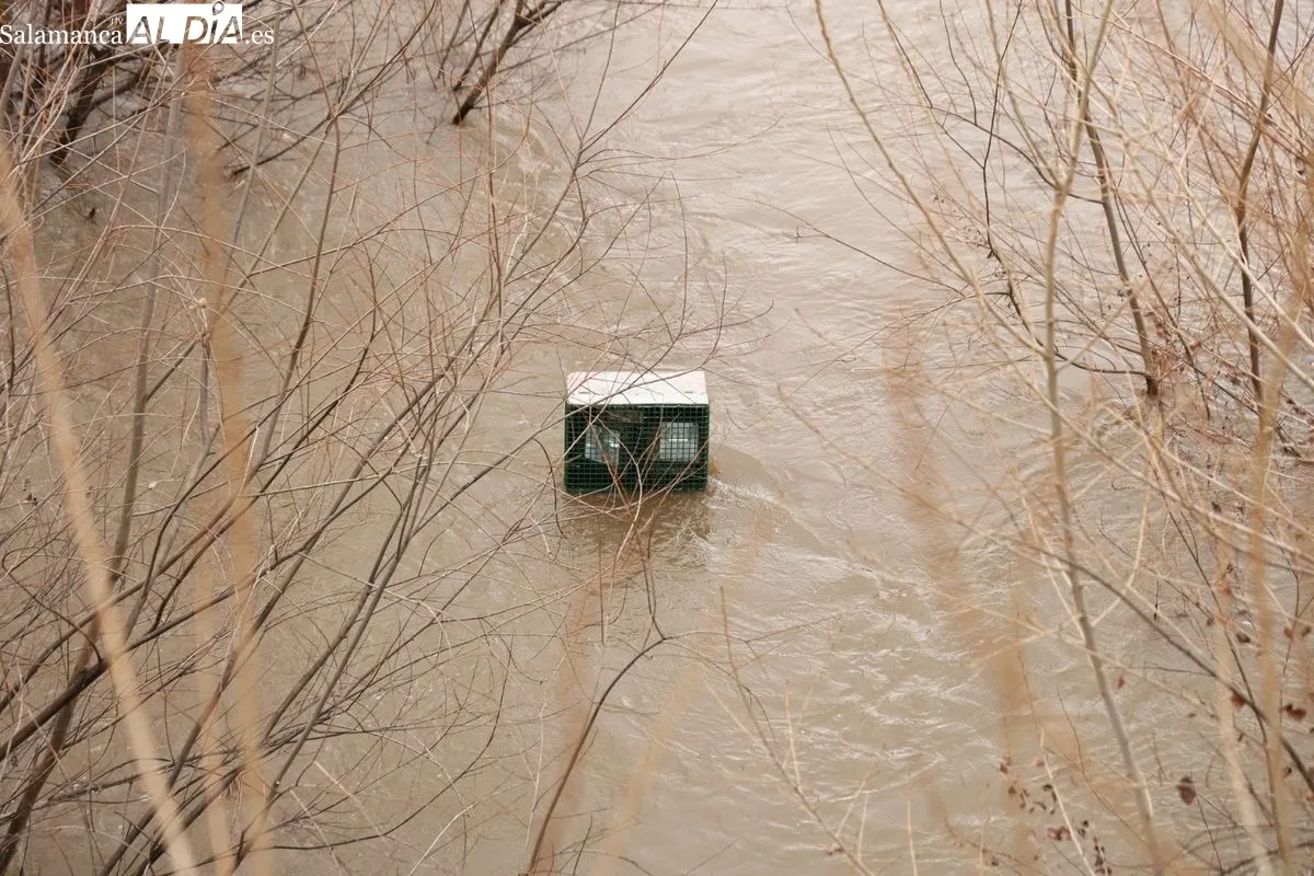 Crecida del río Tormes a su paso por Salamanca | Fotos: David Sañudo